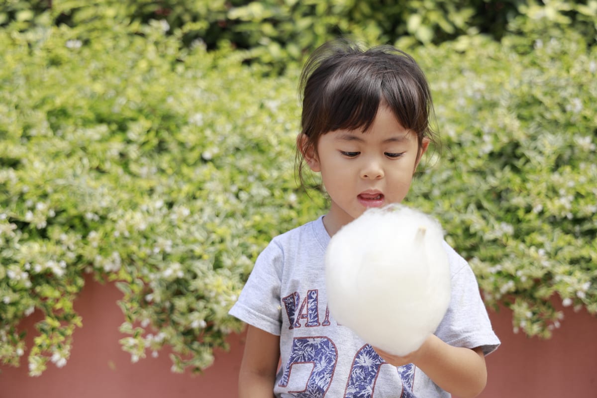 Candy Floss Machine hire — child holding cotton candy in a green garden | Panda Party Hire Hire candy floss machine — child holding cotton candy in a green garden for parties and events in Johannesburg, Sandton and Randburg